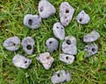5-8 Irish Hag Stones (small)  Multipack, Holey Stones, Adder Stones, Hag Stones, Odin Stones, Witch Stones, Celtic Stones, Hagstones