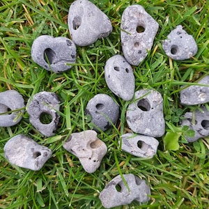 5-8 Irish Hag Stones small Multipack, Holey Stones, Adder Stones, Hag Stones, Odin Stones, Witch Stones, Celtic Stones, Hagstones image 1