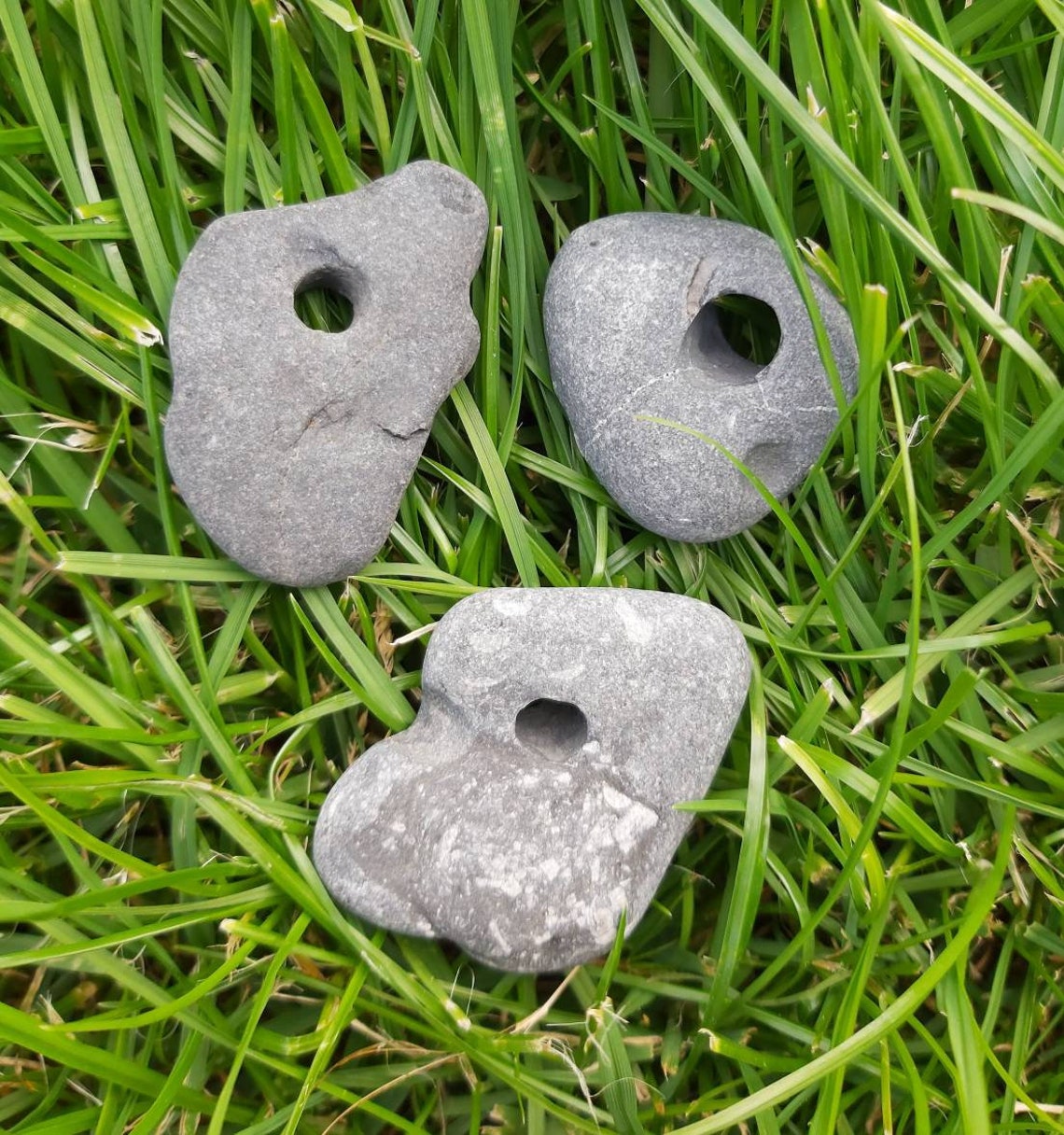3 Irish Hag Stones Medium Holey Stone Adder Stone Odin Etsy