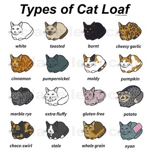 May include: A humorous illustration of 12 different types of cat loaf, each with a unique name and appearance. The cat loaf types include white, toasted, burnt, cheesy garlic, cinnamon, pumpernickel, moldy, pumpkin, marble rye, extra fluffy, gluten-free, potato, choco-swirl, stale, whole grain, and nyan.