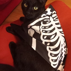 May include: A black cat wearing a black and white skeleton costume. The cat is sitting on a red couch.