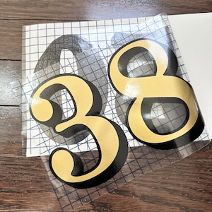 6" Gold Fanlight Transom House Door Number, Victorian Style House Numbers, Gold Leaf Silver Rose Transom Gold Door Numbers Housewarming Gift