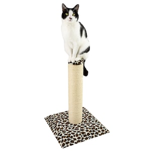May include: A black and white cat sits on top of a sisal scratching post with a leopard print base. The scratching post is about 60 cm tall.