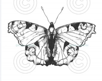 Set of 3 Insect Prints