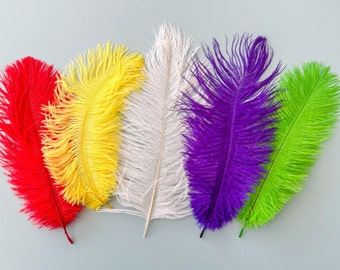 Large Fluffy Feather | Sensory Resource |