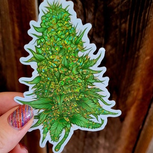 Marijuana Bud