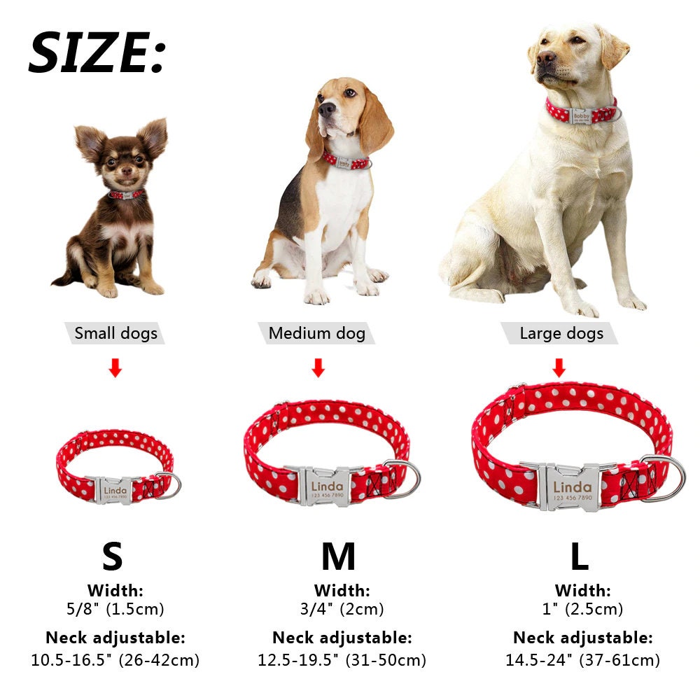 Polka Dot Red Dotty Dog Collar / Lead Leash Etsy