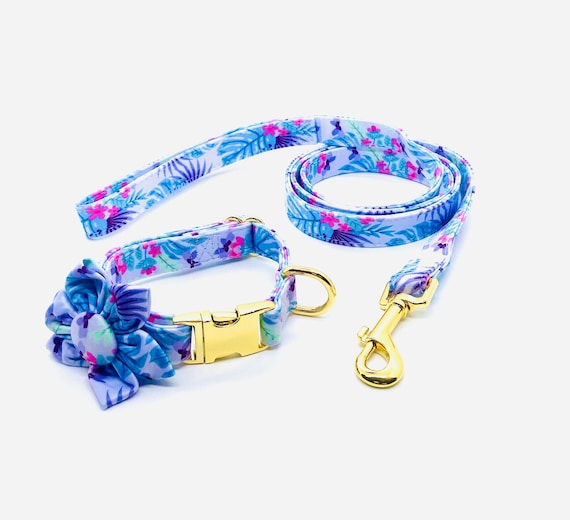 Dog collar set top