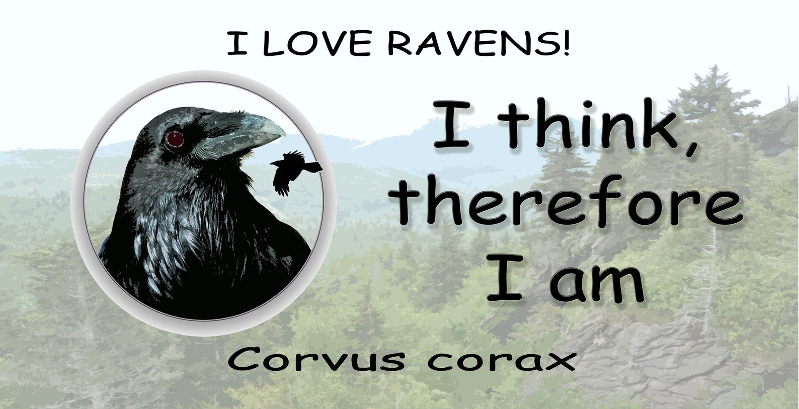I Love Ravens License Plate I think therefore I am Etsy
