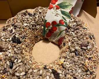 Large Bird Seed Wreath - "Bugs n Berries"