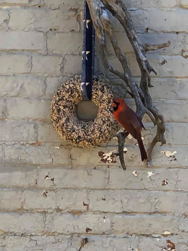 Large Bird Seed Wreath bugs N Berries Etsy
