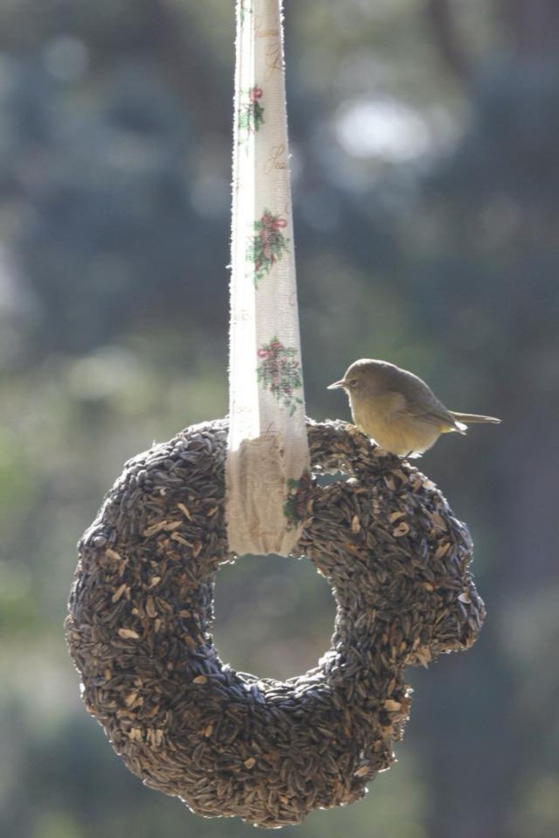 Large Bird Seed Wreath bugs N Berries Etsy