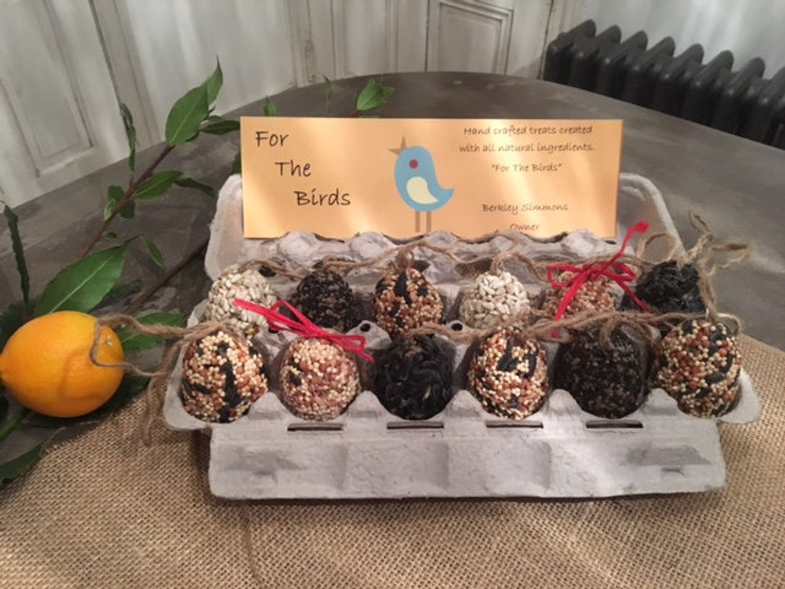 Dozen Solid Bird Seed Eggs Etsy
