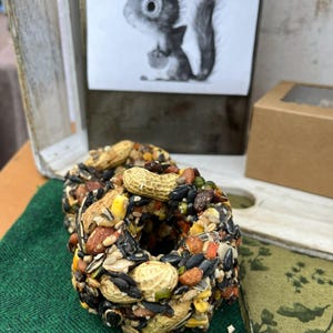 Confezione regalo di ghirlande di semi Wildlife Supreme (gruppo di 5)