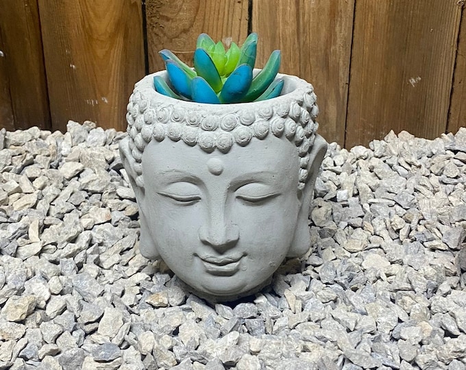 Thai Buddha head planter concrete statue, succulent planter zen garden