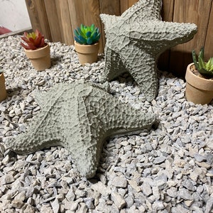Puede incluir: Dos estrellas de mar de hormig&oacute;n gris sobre un lecho de grava gris. Las estrellas de mar son texturizadas y tienen una superficie rugosa. Hay tres peque&ntilde;as plantas en macetas en el fondo.
