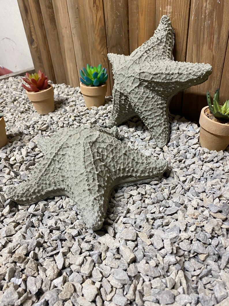 Puede incluir: Dos estrellas de mar de hormig&oacute;n gris sobre un lecho de grava gris. Las estrellas de mar son texturizadas y tienen una superficie rugosa. Hay tres peque&ntilde;as plantas en macetas en el fondo.