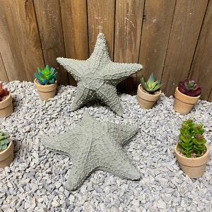 9” starfish/ sea star concrete statue lawn or garden decor, indoor/ outdoor concrete statue