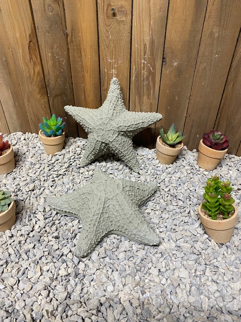 Puede incluir: Dos estrellas de mar de hormig&oacute;n gris sobre un lecho de grava gris con peque&ntilde;as suculentas en macetas a su alrededor.