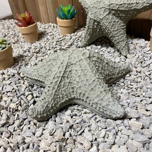 Puede incluir: Dos estrellas de mar grises sobre un lecho de grava gris. Las estrellas de mar est&aacute;n hechas de un material rugoso y texturizado.