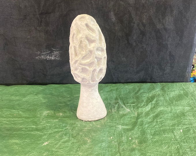 Lg morel mushroom concrete statue