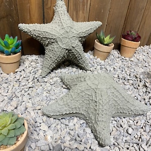 Puede incluir: Dos estrellas de mar de hormig&oacute;n gris sobre un lecho de grava gris. Las estrellas de mar son texturizadas y tienen un aspecto realista.