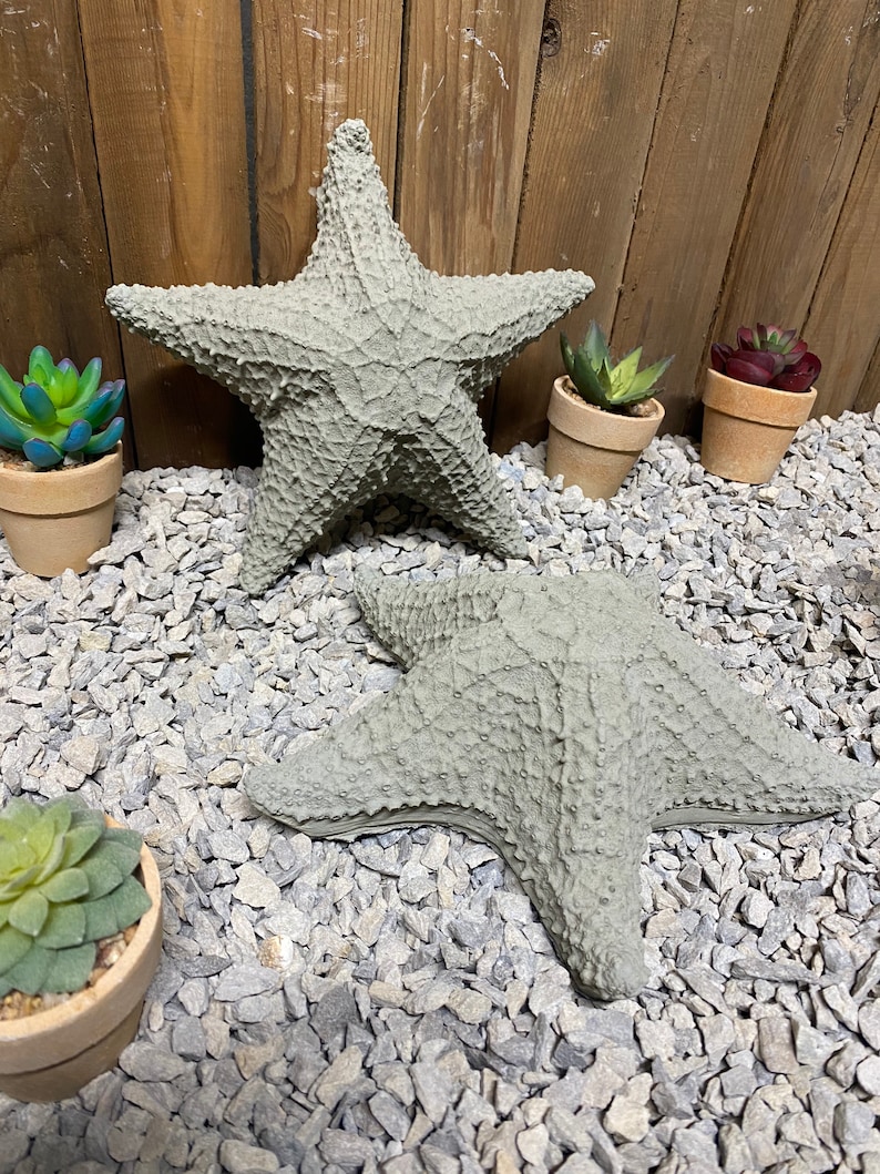 Puede incluir: Dos estrellas de mar de hormig&oacute;n gris sobre un lecho de grava gris. Las estrellas de mar son texturizadas y tienen un aspecto realista.