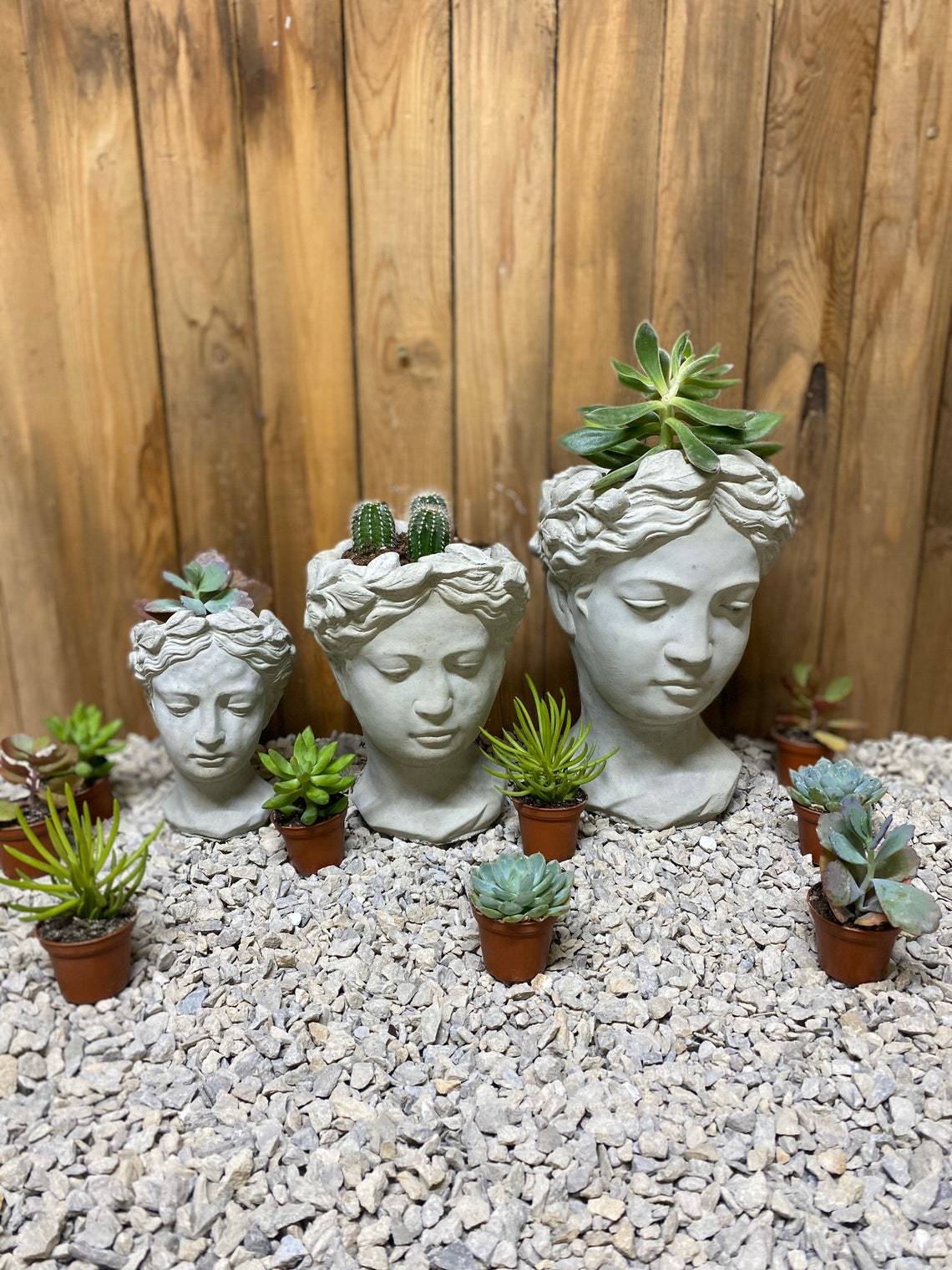 Large women head planter free shipping concrete statue Etsy