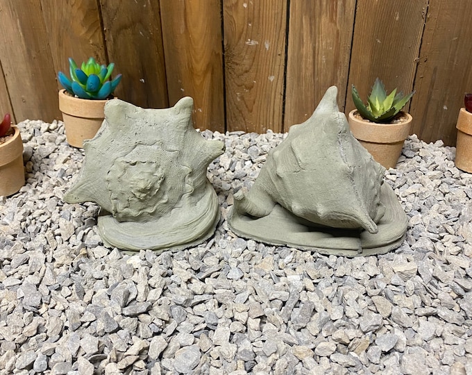 Conch seashell, sea shell concrete statue, indoor/ outdoor Statuary