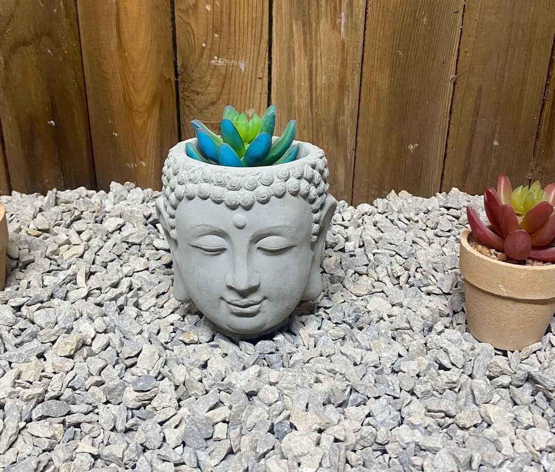 Thai Buddha Head Planter Concrete Statue, Succulent Planter Zen Garden Etsy