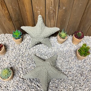 Puede incluir: Dos estrellas de mar de hormig&oacute;n gris sobre un lecho de grava gris con peque&ntilde;as suculentas en macetas a su alrededor.
