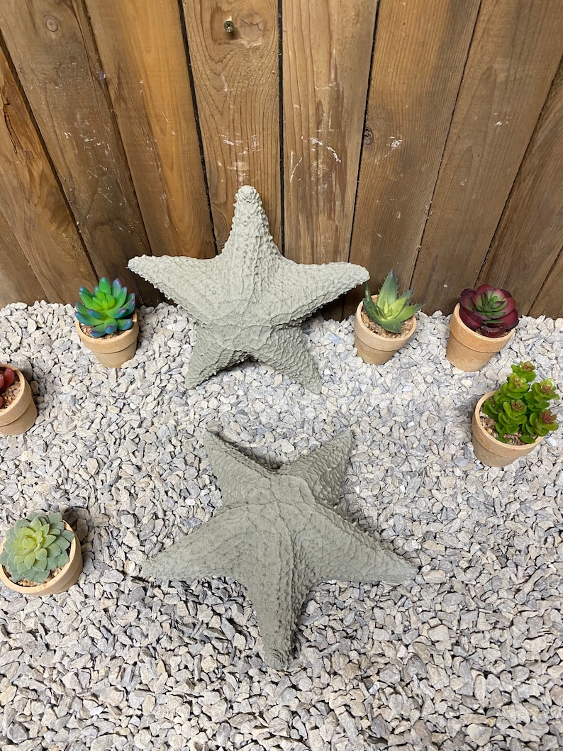 Puede incluir: Dos estrellas de mar de hormig&oacute;n gris sobre un lecho de grava gris con peque&ntilde;as suculentas en macetas a su alrededor.