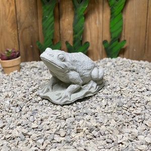 May include: A gray concrete frog statue sitting on a bed of small gray rocks. The frog is sitting on a small base with its legs outstretched.