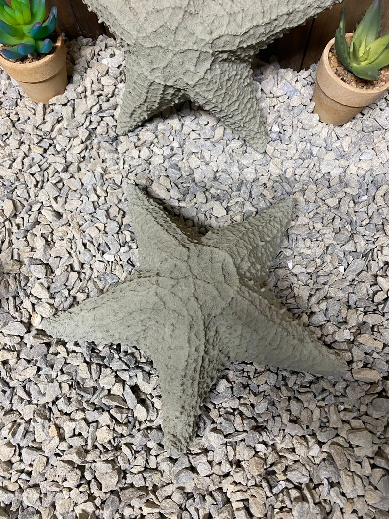 Puede incluir: Dos estrellas de mar de hormig&oacute;n gris sobre un lecho de grava gris.
