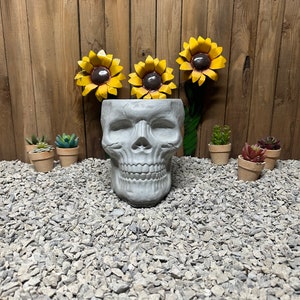 May include: A gray concrete skull-shaped planter with a wide opening, surrounded by small potted succulents and artificial sunflowers. The background is a wooden wall and a bed of gray gravel.