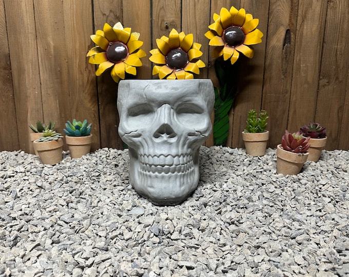 Large Skull concrete planter indoor/ outdoor garden decor