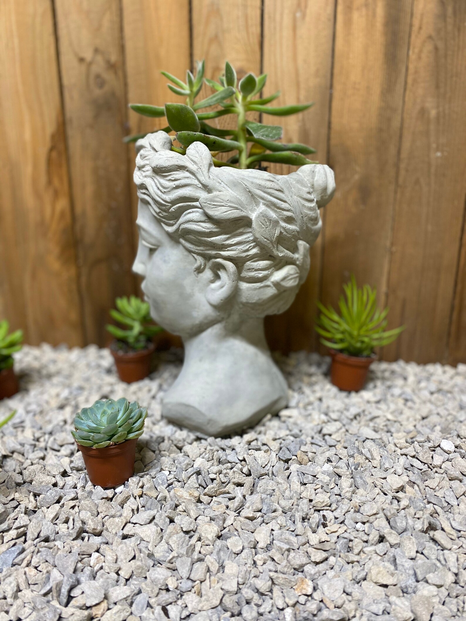 Large women head planter free shipping concrete statue Etsy