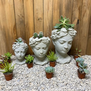 May include: Three gray concrete head planters, each with a different succulent or cactus. The planters are arranged on a bed of small gray stones, with additional potted succulents around them. The background is a wooden wall.