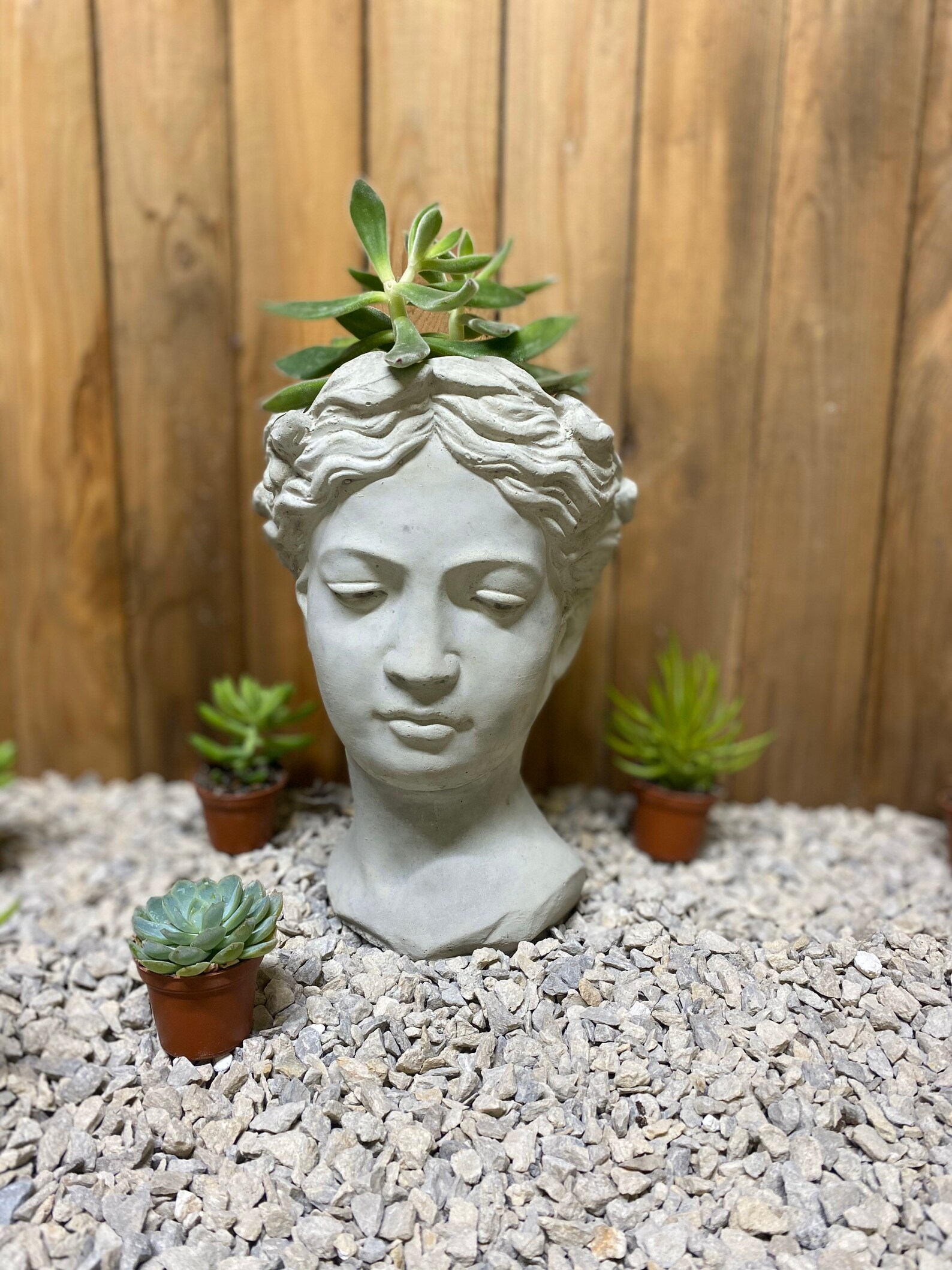 Large lady head planter concrete statue made in the USA Etsy