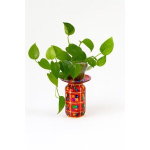 May include: A vibrant red and gold decorative planter with a colorful square pattern holds a lush green plant. The plant has heart-shaped leaves and cascades down the sides of the planter, creating a striking visual contrast.