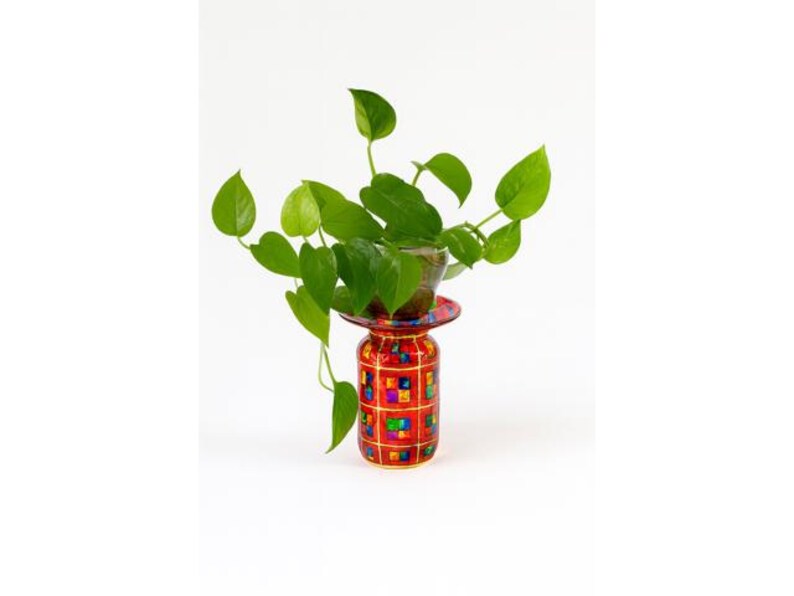 May include: A vibrant red and gold decorative planter with a colorful square pattern holds a lush green plant. The plant has heart-shaped leaves and cascades down the sides of the planter, creating a striking visual contrast.