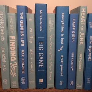 Blue Decorative Book Set: Modern Bookcase Staging, Luxe Decor