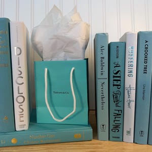 Robin's Egg Blue Book Decor Set: Aqua Modern Coastal Shelf Staging