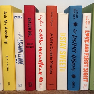 Rainbow Book Decor: Colorful Hardback Books for Bookshelf Staging