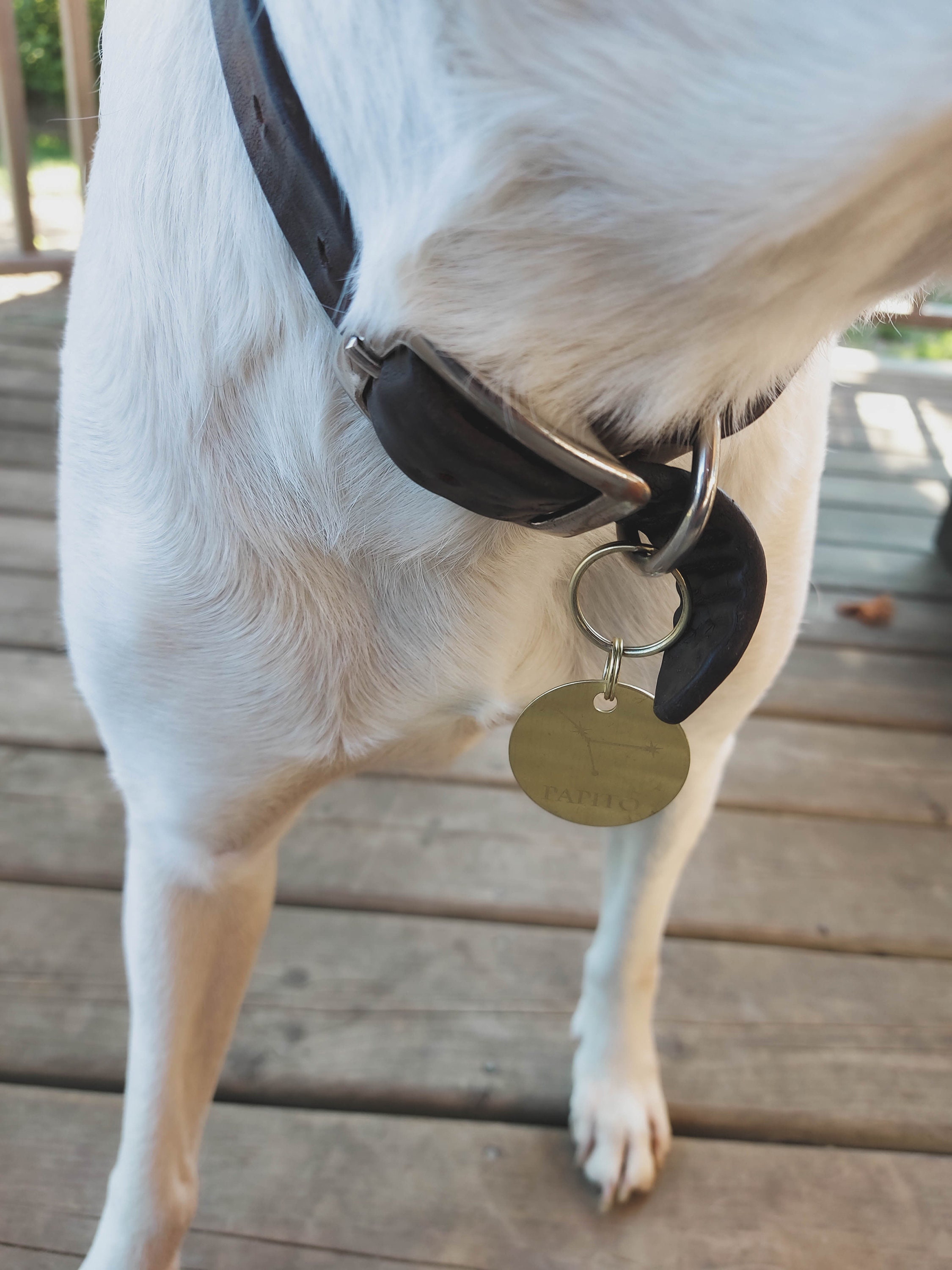 Custom dog tag for dogs Personalized dog ID tag Engraved Etsy