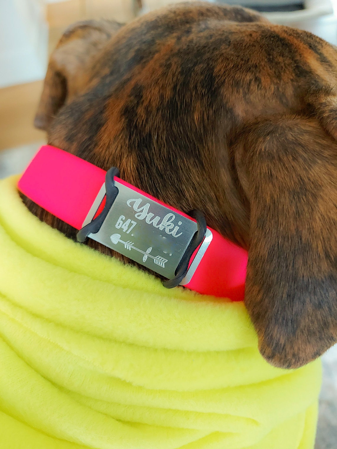 Custom Dog Tag Personalized Dog Tag Slide on Pet Name Tag Etsy Canada