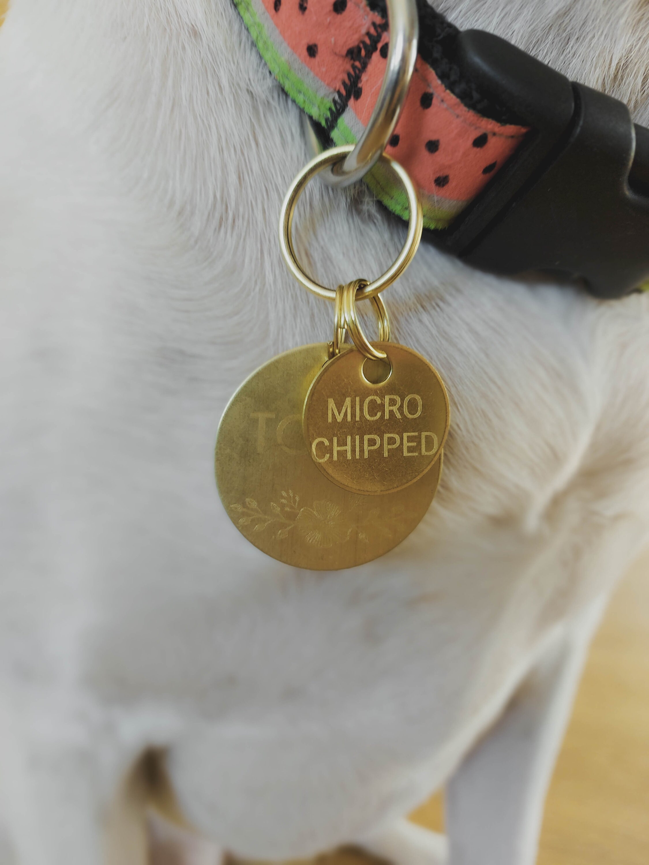 Microchipped Dog Tag Custom dog tag for dogs Personalized Etsy