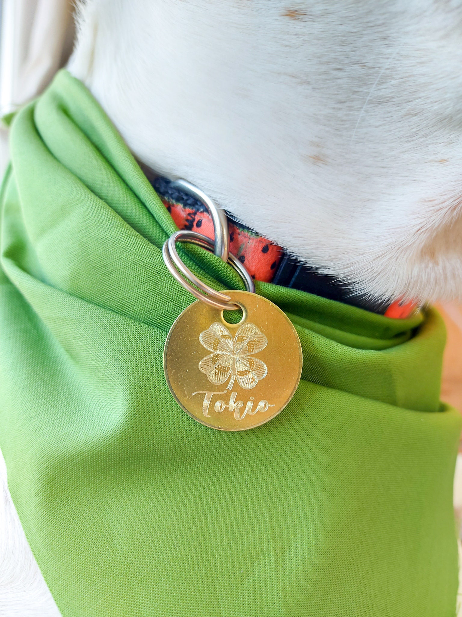 Custom Dog Tag Personalized Dog Tag Dog Tag Pet Name Tag Etsy