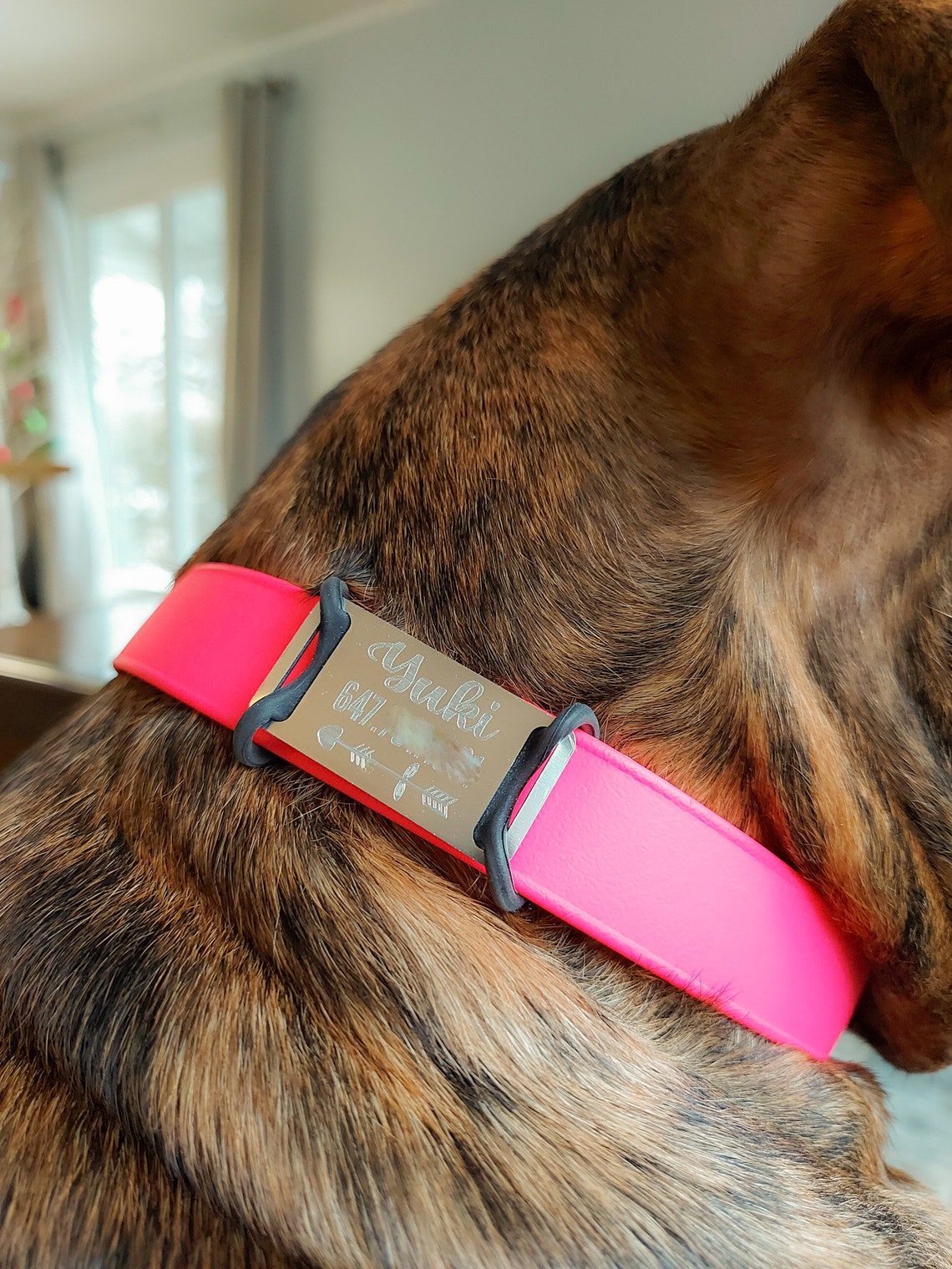 Custom Dog Tag Personalized Dog Tag Slide on Pet Name Tag Etsy Canada