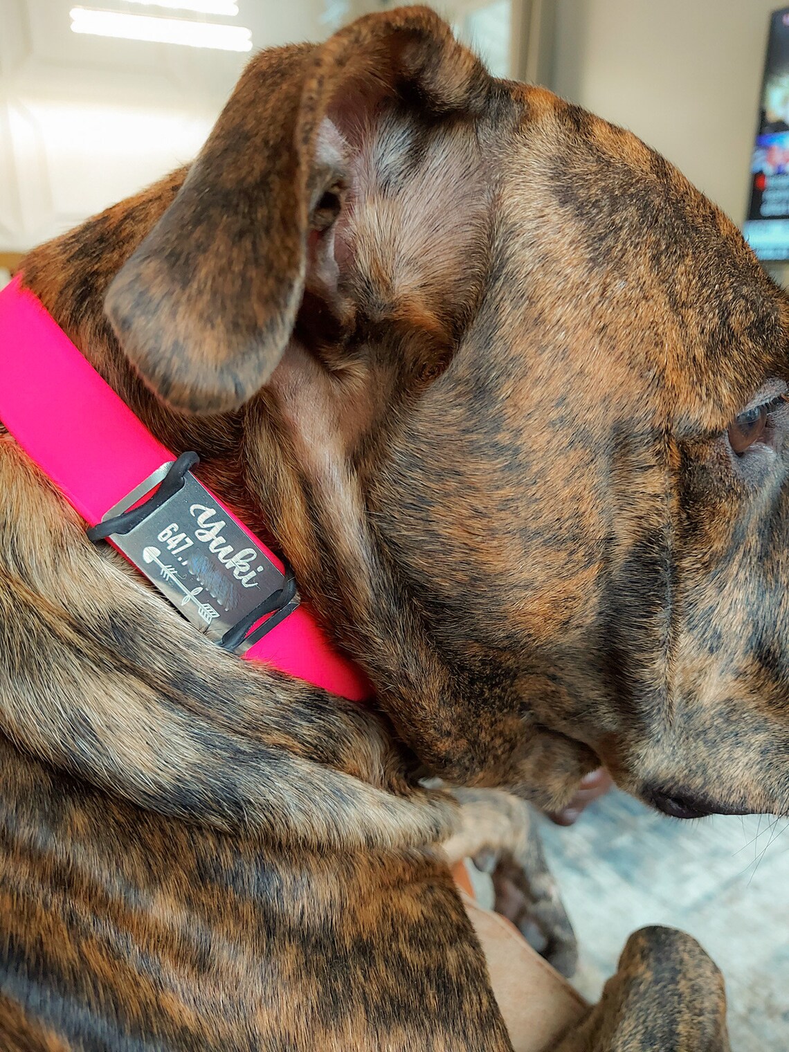 Custom Dog Tag Personalized Dog Tag Slide on Pet Name Tag Etsy Canada